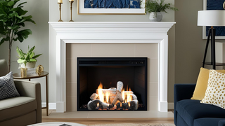 Empire Birch gas logs in firepalce in living room