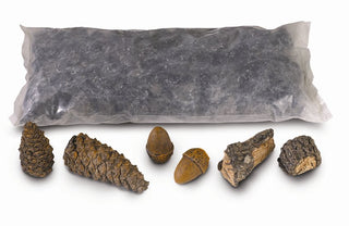 Real Fyre Deluxe Ember Enhancing Decor Kit