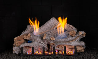 Real Fyre Lakeshore Birch vent-free gas logs on a G19A burner with realistic flames and glowing embers